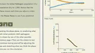 Competition Chapter in SimUText Ecology [upl. by Ona]