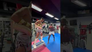 Alain Ngalani kyokushin shinkyokushin karate MartialArts shorts shortsvideo 1kyokushin 一極真 [upl. by Erdnassac]