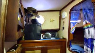 Willard 40 Pilothouse Motorsailer  Boatshedcom  Boat Ref145075 [upl. by Nylanaj]