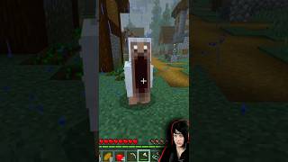 Cursed Minecraft terrifying [upl. by Sadick352]