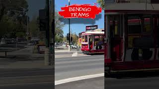 Bendigo 🚃 Trams Bendigo Victoria Australia 🇦🇺 exploreaustralia australiancity australiatrams [upl. by Gnov]