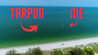 Tarpon Fishing in SouthWest Florida  Hooked Up [upl. by Soirtimid]