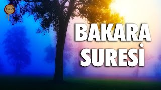 Bakara Suresi  Evdeki Geçimsizliğe Huzursuzluğa Sıkıntılarınıza Şifa  Eyad Mohra [upl. by Adlesirk]