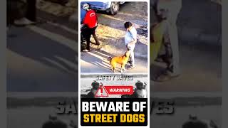 🐈நாய்கள் ஜாக்கிரதை🐺  ⚠️Beware of Street Dogs🦊🕵️விழிப்புணர்வு பதிவு📝 👷Safety Saves🎥 shortsfeed [upl. by Kameko]