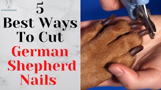 5 Best Ways To Cut German Shepherd Nails [upl. by Yrffoeg]