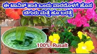 ಈ ಟಾನಿಕ್ ಹಾಕಿದ ಒಂದು ವಾರದೊಳಗೆ ಹೊಸ ಚಿಗುರು ಬರತ್ತೆ  best organic fertilizer for plant [upl. by Ullman]