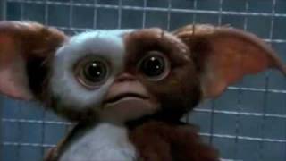 Dedicated to gizmo from gremlins [upl. by Aneelak]