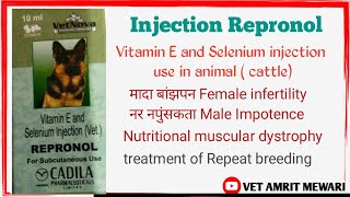 Injection Repronol uses in hindi  Vitamin E and Selenium  Repeat breeding  Infertility  बांझपन [upl. by Eikcuhc]