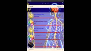 Genius Insight Biofeedback for your IPad or Android [upl. by Suiravaj]