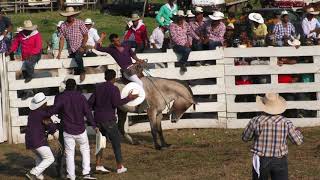 RODEO MONTUBIO JUNQUILLO SUR [upl. by Eenitsed]