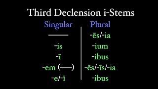 Third Declension iStems [upl. by Thurlow171]