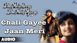 Chali Gayee Jaan Meri Full Audio Song  Ashif Shaikh Divya Dutta [upl. by Nymsaj]