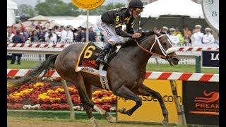 2013 Preakness Stakes  Oxbow [upl. by Esinet]