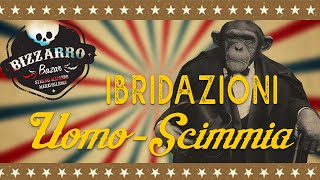 Ibridazioni UomoScimmia  BIZZARRO BAZAR S01E03 [upl. by Amahs]