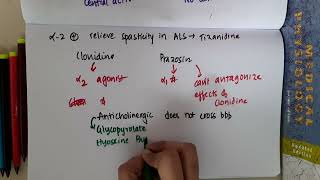 anticholinergic which does not cross blood brain barrier mp4 [upl. by Irahk504]