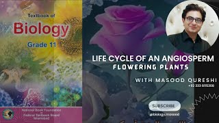 Life Cycle of an Angiosperm  Grade 11  biology  Urdu Hindi English  Federal Board Pakistan [upl. by Lledraw]