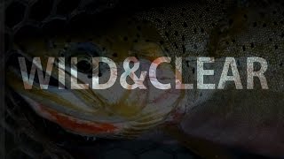 WILD amp CLEAR  Fishing Montanas Backcountry [upl. by Frankhouse]