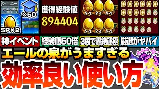 【エールの泉】効率の良い『エール』の使い方！経験値50倍はどこで使うべき？3周で轟絶が運極！？わくわく厳選もヤバい！【モンスト】オウンギャック◤◢【VOICEROID】【へっぽこストライカー】 [upl. by Hagan849]