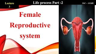 Lec 3  Female reproductive system  Life process part 2  10 SSC MH [upl. by Ahsikit]