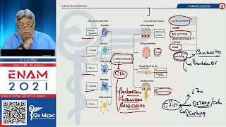 NEUMOLOGÍA Farmacología ENAM 2021 [upl. by Inaflahk]