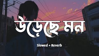 উড়েছে মন  Slowed  Reverb  Ureche Mon  Arijit Singh  Bangla Slowed Song  SR Songs [upl. by Launame582]