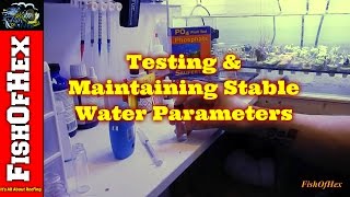 Testing amp Maintaining Stable Water Parameters  Answering Beginner Questions Part 4 [upl. by Dedrick]