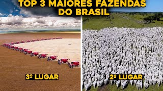 TOP 3 MAIORES FAZENDAS DO BRASIL ATUALIZADO  FAZENDAS GIGANTES [upl. by Hibben]