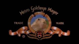 Drama Prairie Dog  MGM Edition [upl. by Leoj]