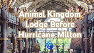 Animal Kingdom Lodge at Walt Disney World Prepares For Hurricane Milton 🌀October 2024 disney [upl. by Ludwig]