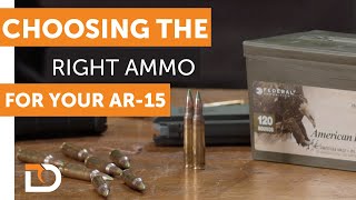 Daily Defense Season 2  EP 23 Choosing the Right Ammo for Your Rifle [upl. by Vidal]