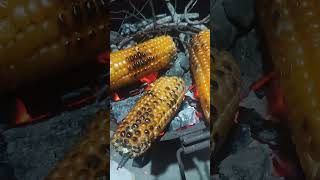 Traditional Charcoal Roasted CornSimple amp Delicious corn🌽 [upl. by Jaymie228]