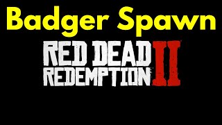 4 American Badger location RDR2 [upl. by Nolyaw]