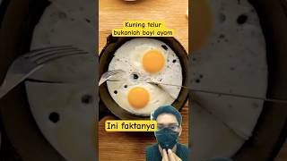 FAKTA Kuning Telur Bukan Bayi Ayam egg egglife science cooking [upl. by Ocinom660]