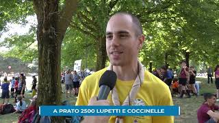 A Prato 2500 Lupetti e coccinelle per il raduno regionale [upl. by Tella785]