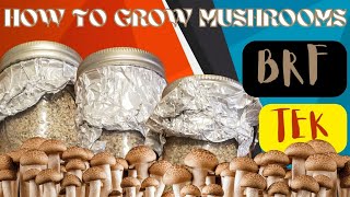 How to Make Brown Rice Flower BRF TEK substrate for growing Mushrooms [upl. by Neitsabes]