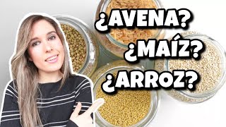 CEREALES CON CANDIDIASIS I ¿Maíz arroz avena Cuáles mejor y cómo cocinarlos para digerirlos bien [upl. by Eceirahs765]