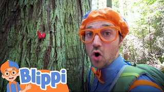 Learning About Nature On A Hike With Blippi  Educational Videos For Kids [upl. by Romilly]