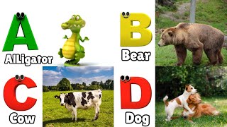 Animals ABC Song  Animals Alphabet Song  Alphabet Letters  Phonics for Kids [upl. by Hake]