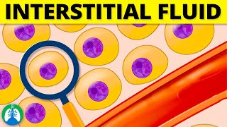 Interstitial Fluid Medical Definition  Quick Explainer Video [upl. by Dias495]