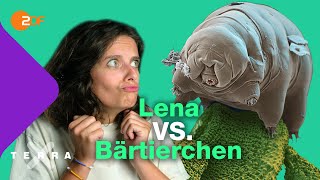 Diese Superkräfte hat das Bärtierchen  Terra X plus [upl. by Nylinnej]