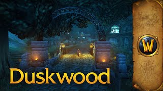 Duskwood  Music amp Ambience  World of Warcraft [upl. by Enyrhtac]