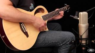 Peavey Composer Parlor Acoustic Guitar [upl. by Alphard811]