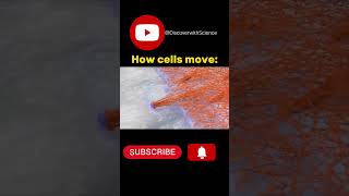 How cells move discover lifecycle facts [upl. by Morey]