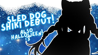 【HALLOWEEN】DEBUTING SLED DOG SHIKI AND GETTING SPOOKY WITH YOU [upl. by Notneb]