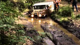 Toolangi Forest 4x4 Landrover V8 vs FJ45 [upl. by Eifos]