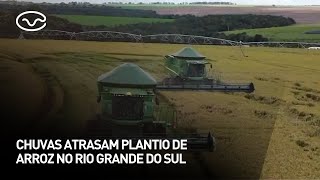 Chuvas atrasam plantio de arroz no Rio Grande do Sul [upl. by Nilyam580]