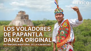 La ceremonia ritual de los Voladores de Papantla  Pájaros de la Tierra  Patrimonio Inmaterial [upl. by Sherill542]