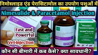 Nimesulide and Paracetamol Injection ka upyog Pashuon Mein Konsi Disease Mein Kab Kase kare [upl. by Claude932]