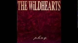 THE WiLDHEARTS  NiTA NiTRO [upl. by Irodim]