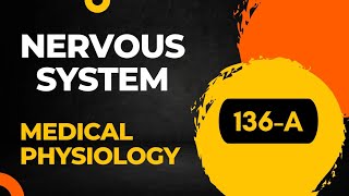 Receptors of nervous system part1 136  Sembulingam Physiology II Sensory Receptors CNS [upl. by Solim]